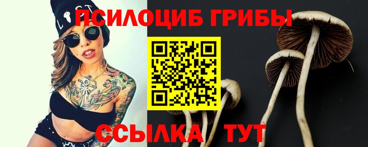 Галлюциногенные грибы Psilocybine cubensis  Вход с VPN  Галлюциногенные грибы ЛСД  Ахтубинск 